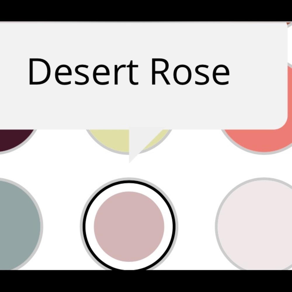 New with tags dress color desert rose - Picture 3 of 5